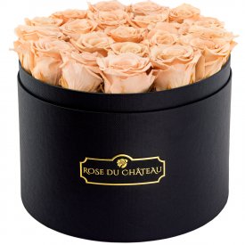 Čajové věčné růže ve velkém černém kulatém flowerboxu
