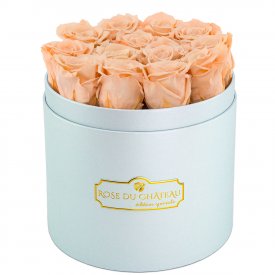 Čajové věčné růže v modrém flowerboxu