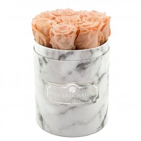 Čajové věčné růže v malém bílém mramorovém flowerboxu