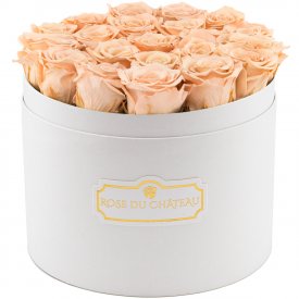 Čajové věčné růže ve velkém bílém kulatém flowerboxu