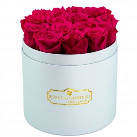 Růžové věčné růže v modrém flowerboxu