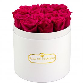 Růžové věčné růže v bílém kulatém flowerboxu