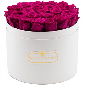 Růžové věčné růže ve velkém bílém flowerboxu
