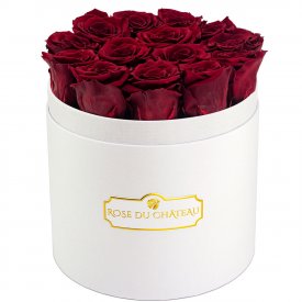 Červené věčné růže v bílém kulatém flowerboxu