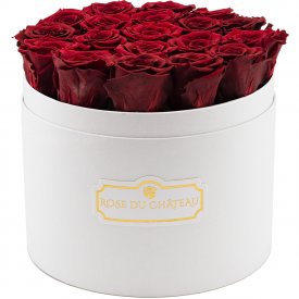 Červené věčné růže ve velkém bílém flowerboxu