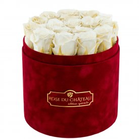 Bílé věčné růže v bordovém semišovém flowerboxu