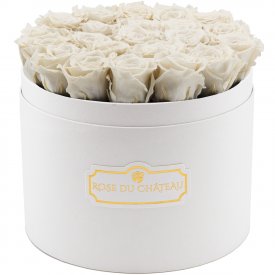 Bílé věčné růže ve velkém bílém flowerboxu