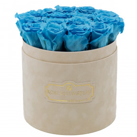 Modré věčné růže v béžovém semišovém flowerboxu