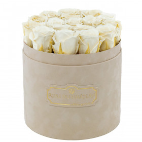 Bílé věčné růže v béžovém semišovém flowerboxu