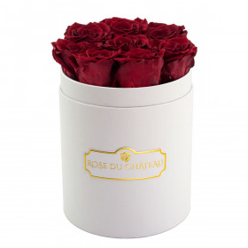 Červené věčné růže v malém bílém flowerboxu