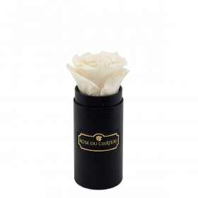 Bílá věčná růže v černém mini flowerboxu 