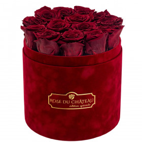 Rote Ewige Rosen in bordeauxroter Beflockter Rosenbox