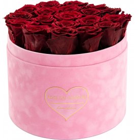 Eternity Red Roses & Large Pink Flocked Flowerbox - LOVE EDITION