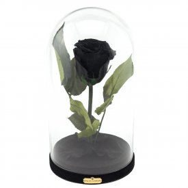 Enhanced Black Rose Beauty & The Beast