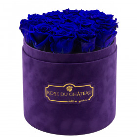Eternity Blue Roses & Violet Flocked Flowerbox